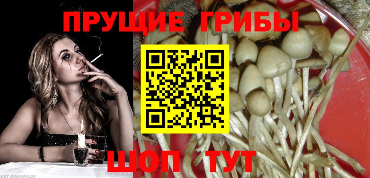 Галлюциногенные грибы GOLDEN TEACHER Златоуст
