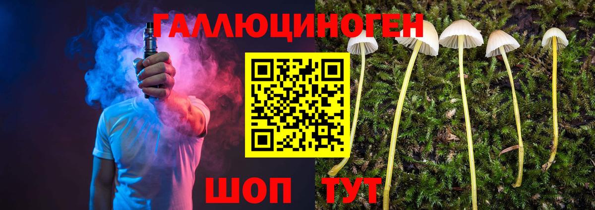 Златоуст  Псилоцибиновые грибы прущие грибы  что такое наркотик  Вход с VPN 